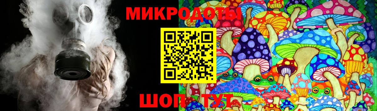 Егорьевск  Псилоцибиновые грибы Cubensis  Вход с VPN 