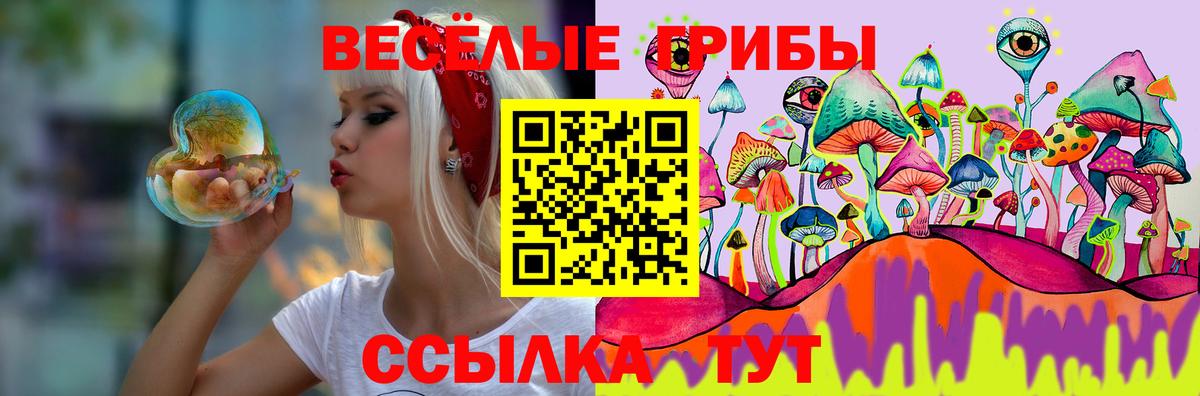 Галлюциногенные грибы прущие грибы Егорьевск